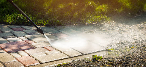 Best Driveway Pressure Washing  in Mickleton, NJ